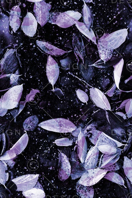 配饰印花华亿平台图片