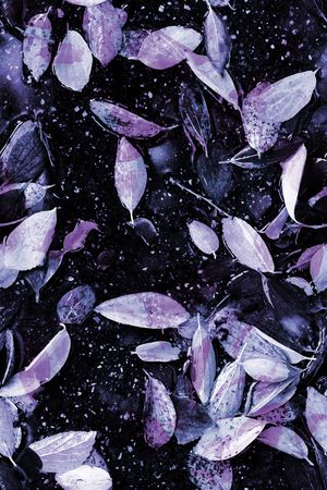 配饰印花华亿平台图片