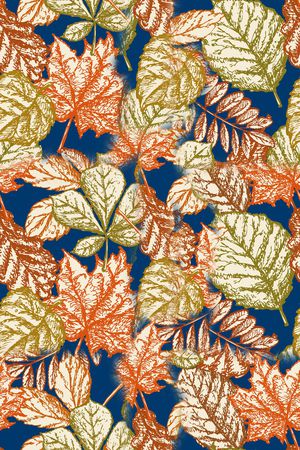 枫叶印花华亿平台图片