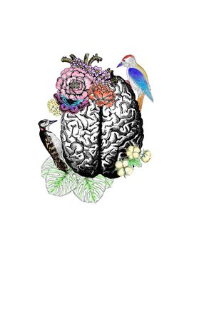 春夏华亿平台印花华亿平台图片