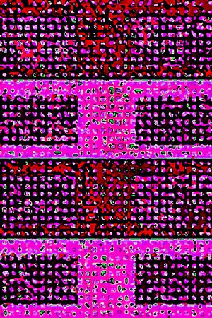 线条画印花华亿平台图片