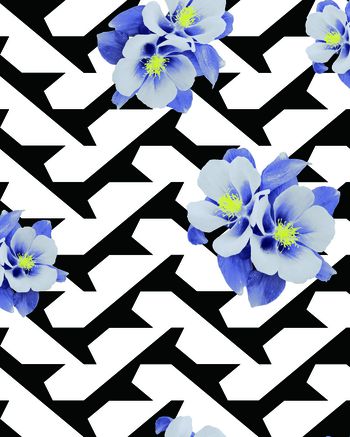 春夏华亿平台印花华亿平台图片