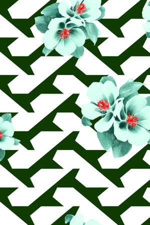 春夏华亿平台印花华亿平台图片