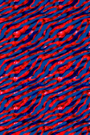 洋阳---动物纹印花华亿平台图片