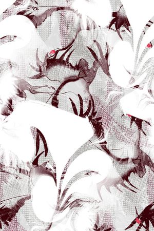 女装印花华亿平台图片