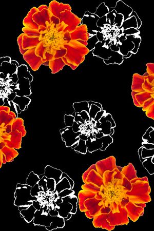 创意印花华亿平台图片