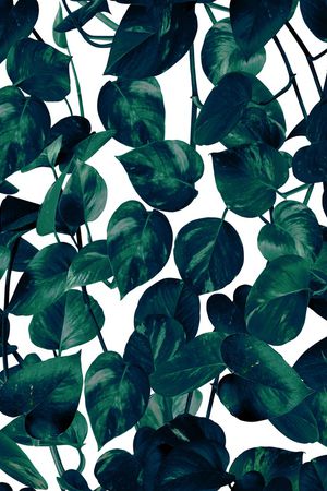 植物印花华亿平台图片