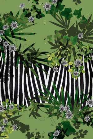 斑马纹印花华亿平台图片