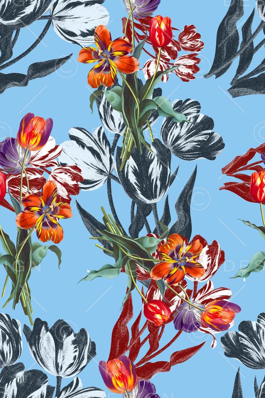 女装印花华亿平台图片