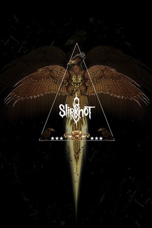 老鹰印花华亿平台图片