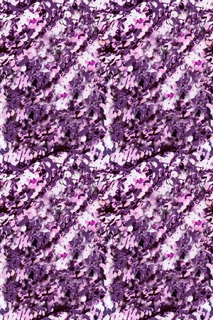 少女印花华亿平台图片