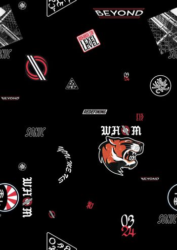 1152739-CSY-18120302-1