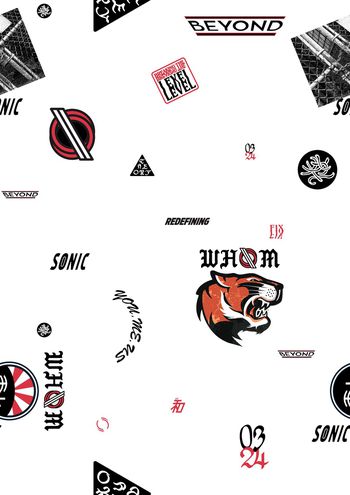 1152740-CSY-18120302-2