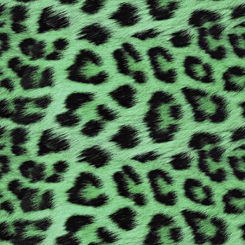 豹纹印花华亿平台图片