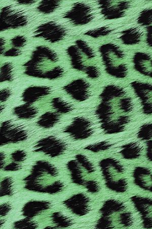 豹纹印花华亿平台图片