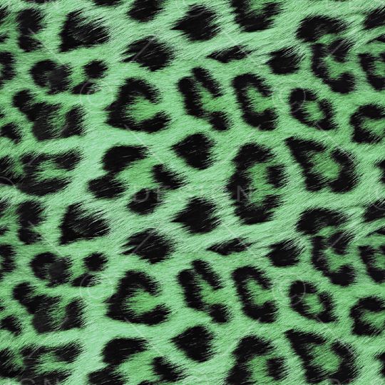 豹纹印花华亿平台图片