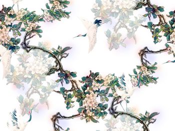 1152980-丹顶鹤-白