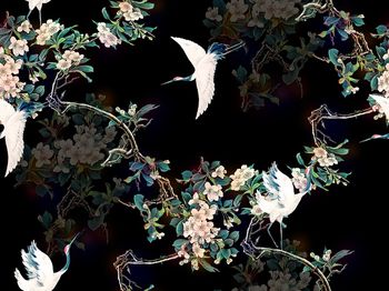 大牌风印花华亿平台图片