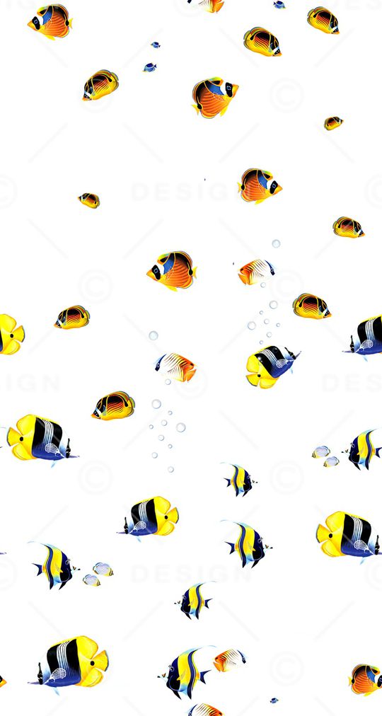 动物印花华亿平台图片