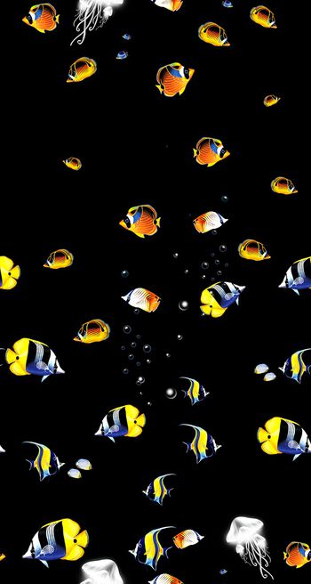 动物印花华亿平台图片