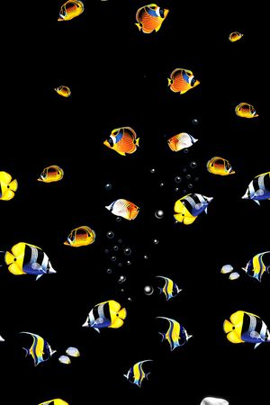 动物印花华亿平台图片