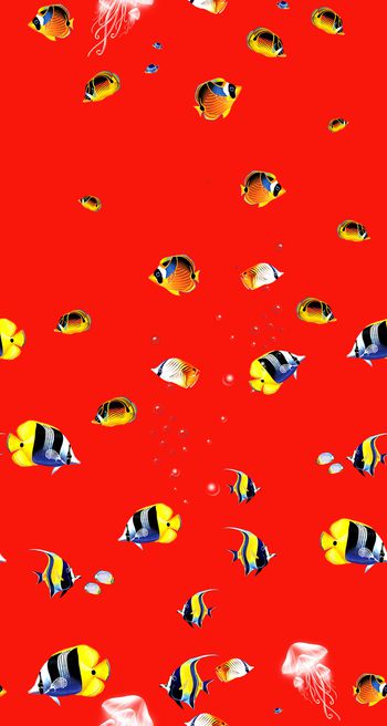 1153445-鱼- 红、、