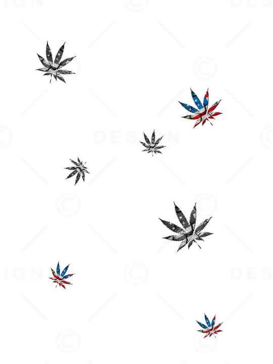 大牌风印花华亿平台图片