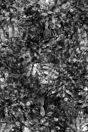 印花印花华亿平台图片