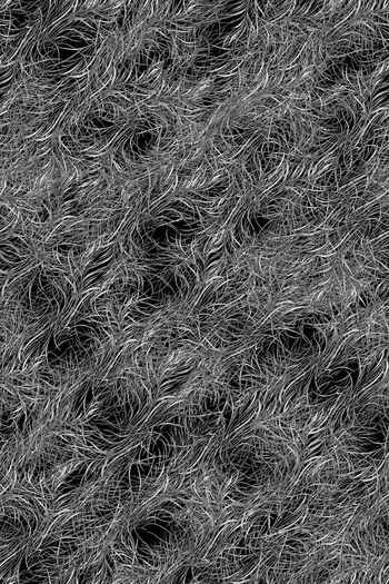 羽毛印花华亿平台图片