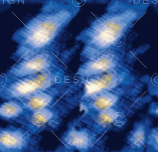 大牌风印花华亿平台图片