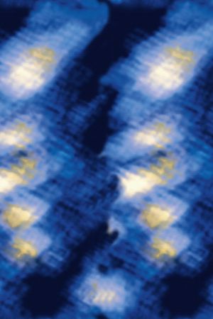 大牌风印花华亿平台图片