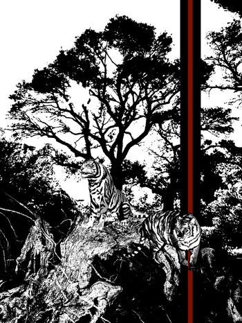 抽象男装印花华亿平台图片