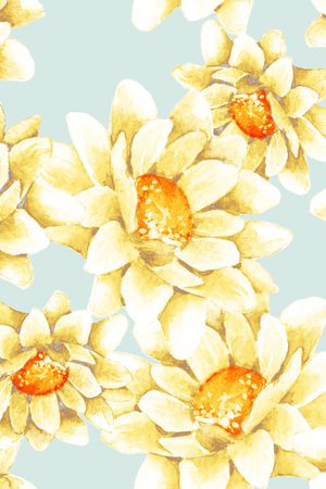 春夏华亿平台印花华亿平台图片