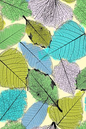 植物印花华亿平台图片