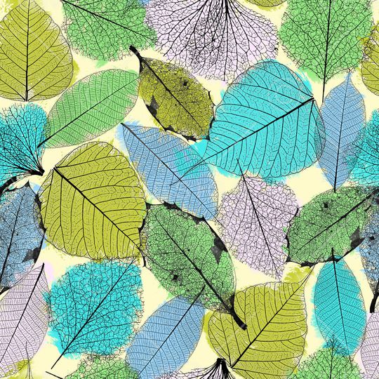 植物印花华亿平台图片