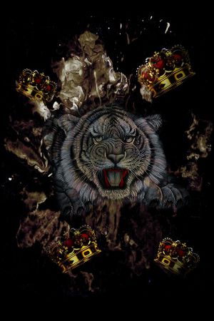 大牌风印花华亿平台图片