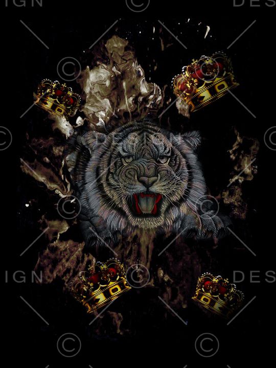 大牌风印花华亿平台图片