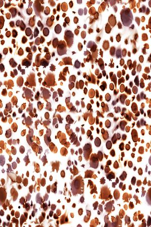 抽象花卉印花华亿平台图片