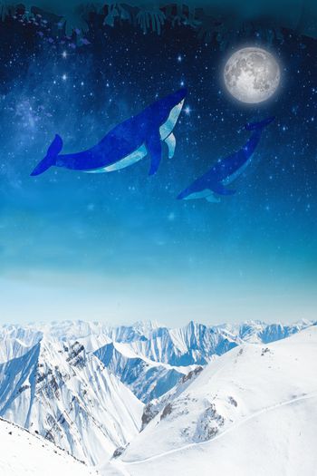 春夏华亿平台印花华亿平台图片