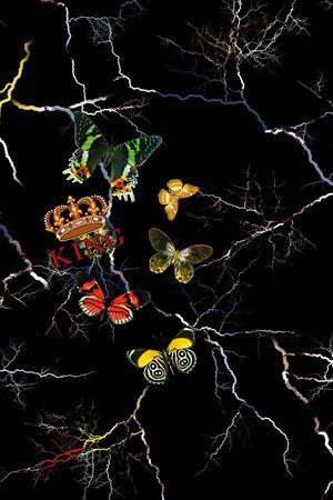 字母印花华亿平台图片