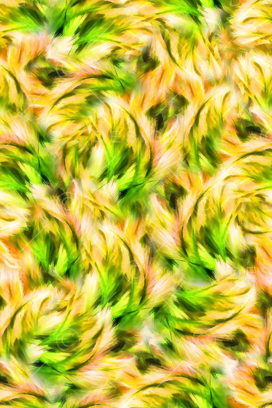 炫彩印花华亿平台图片