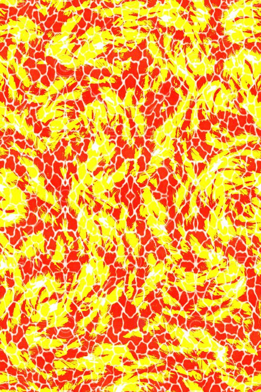 豹纹印花华亿平台图片