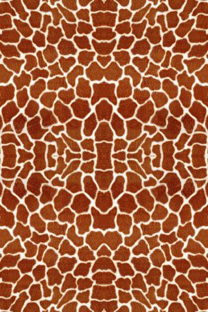 豹纹印花华亿平台图片