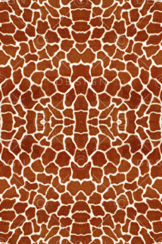 豹纹印花华亿平台图片