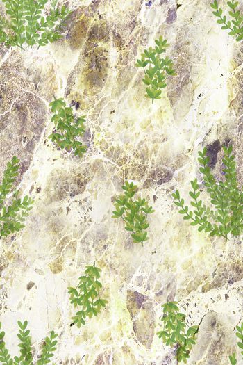 1156853-大理石肌理底纹小花