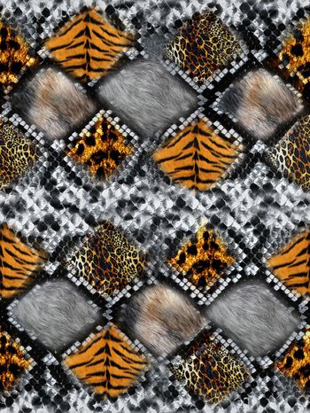 1156861-蛇皮 -2 12.11