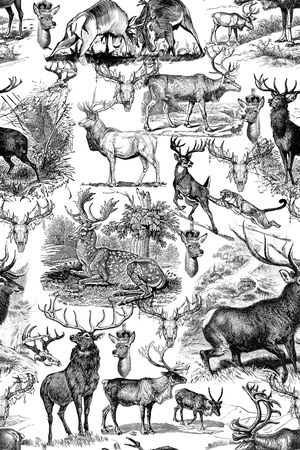 复古鹿印花华亿平台图片