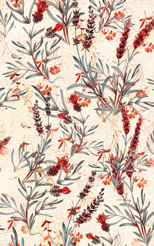 少女印花华亿平台图片