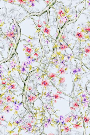 少女印花华亿平台图片