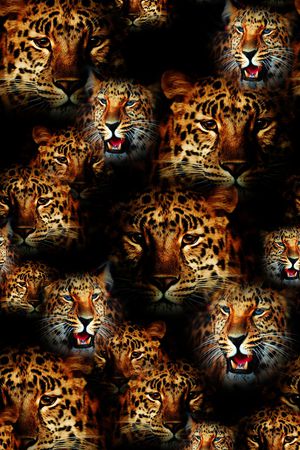 动物纹印花华亿平台图片